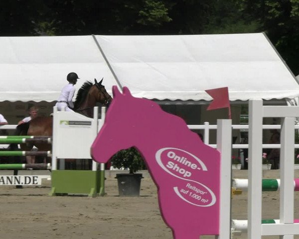 Reitturnier Dortmund-Somborn 2023