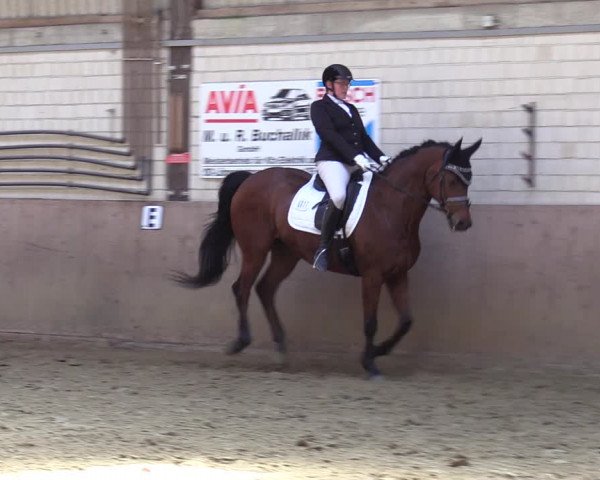 Reitturnier Dortmund-Somborn 2023