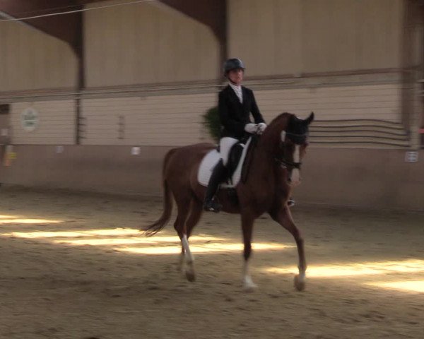 Reitturnier Dortmund-Somborn 2023