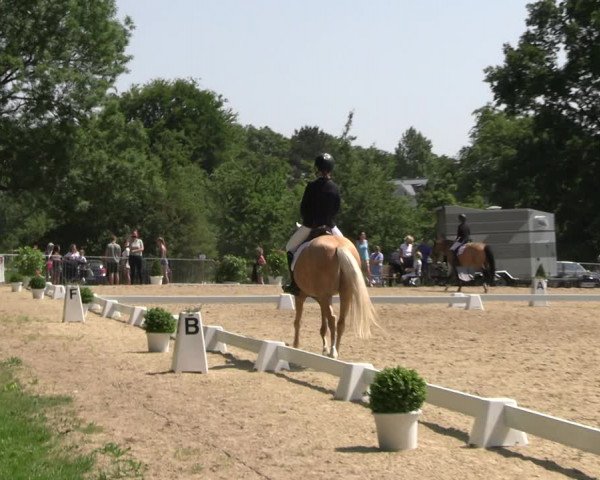 Reitturnier Derbypark Hamburg Klein-Flottbek 2023