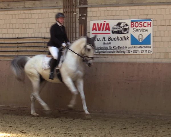 Reitturnier Dortmund-Somborn 2023
