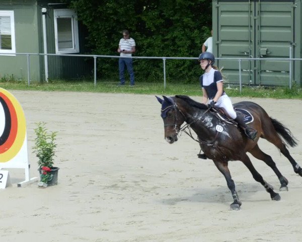 Reitturnier Blaubeuren 2023