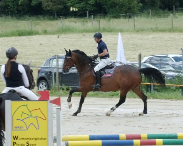 Reitturnier Blaubeuren 2023