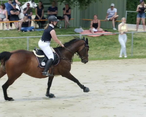 Reitturnier Blaubeuren 2023
