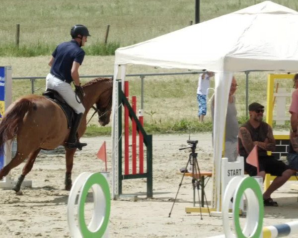 Reitturnier Blaubeuren 2023