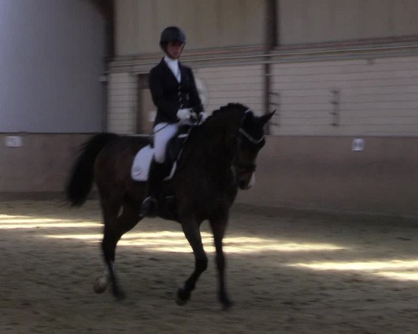 Reitturnier Dortmund-Somborn 2023