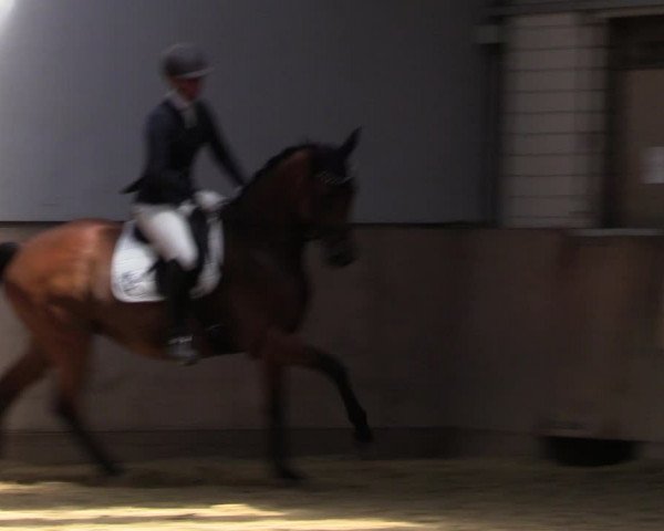 Reitturnier Dortmund-Somborn 2023