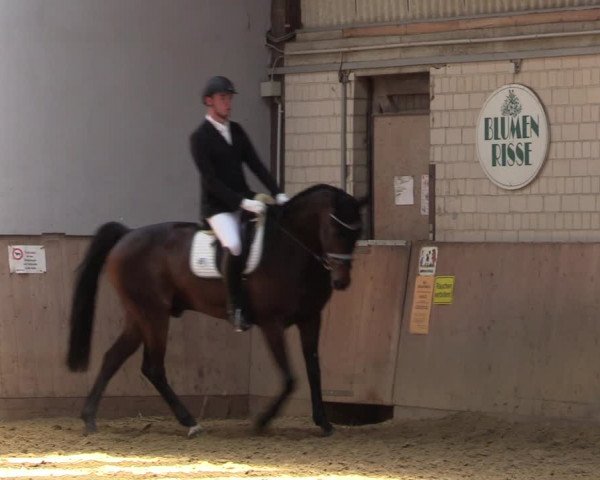 Reitturnier Dortmund-Somborn 2023