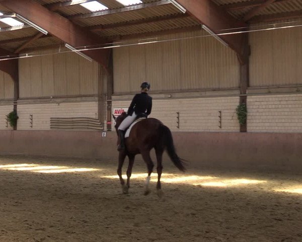 Reitturnier Dortmund-Somborn 2023