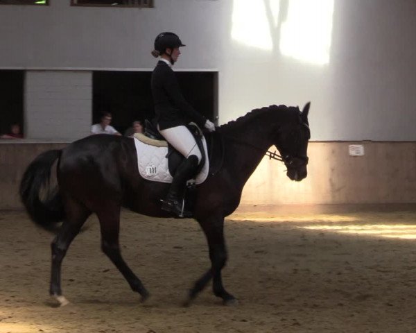 Reitturnier Dortmund-Somborn 2023