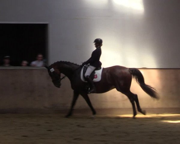 Reitturnier Dortmund-Somborn 2023