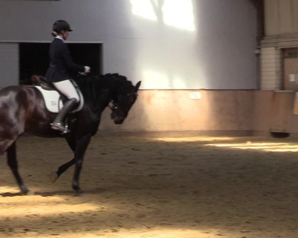 Reitturnier Dortmund-Somborn 2023
