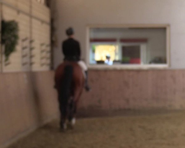 Reitturnier Dortmund-Somborn 2023