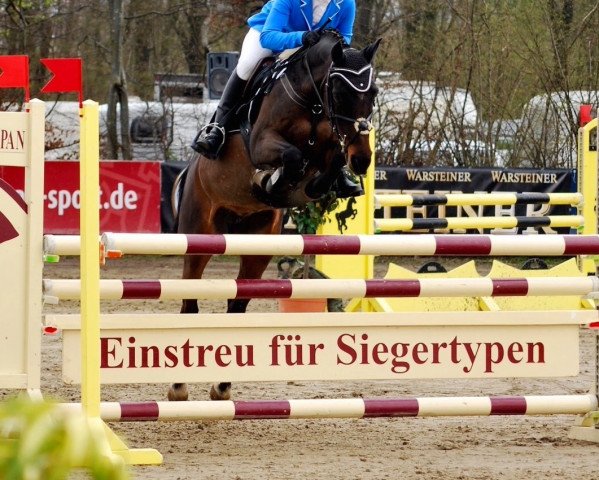 broodmare Joy 252 (German Riding Pony, 1998, from Jimmy)