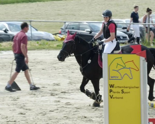 Reitturnier Blaubeuren 2023