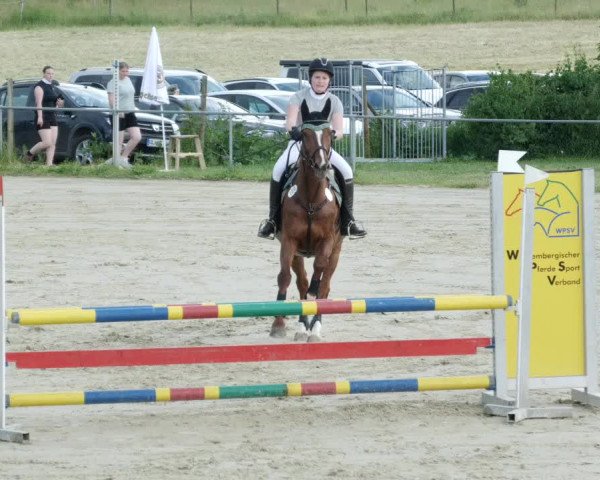 Reitturnier Blaubeuren 2023