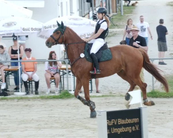 Reitturnier Blaubeuren 2023