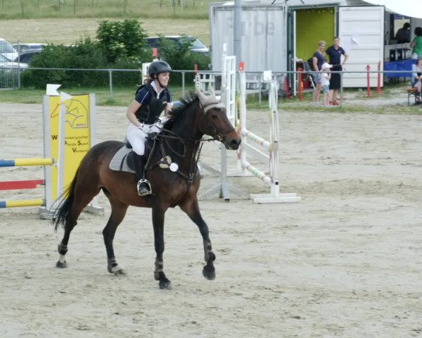 Reitturnier Blaubeuren 2023
