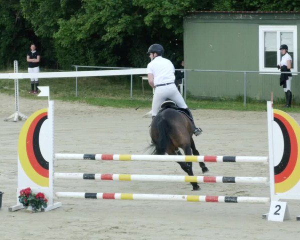 Reitturnier Blaubeuren 2023