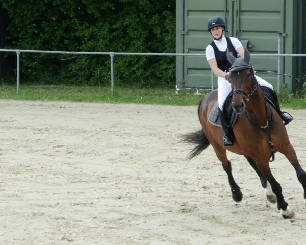 Reitturnier Blaubeuren 2023