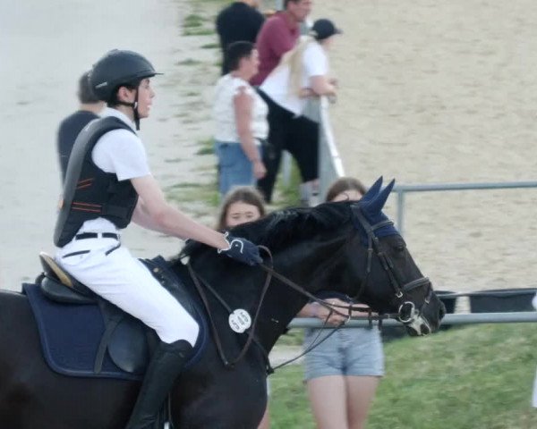Reitturnier Blaubeuren 2023