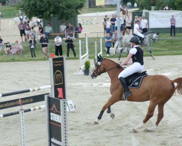 Reitturnier Blaubeuren 2023
