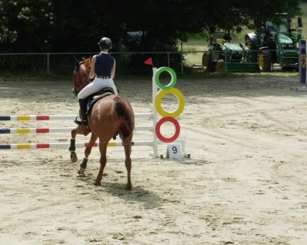 Reitturnier Blaubeuren 2023
