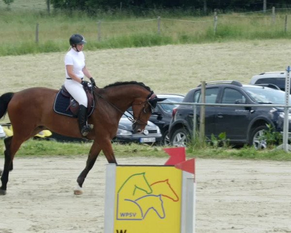 Reitturnier Blaubeuren 2023