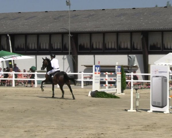 Reitturnier Dortmund-Somborn 2023