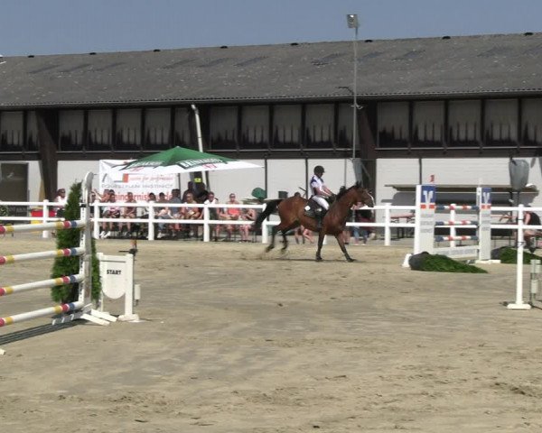 Reitturnier Dortmund-Somborn 2023