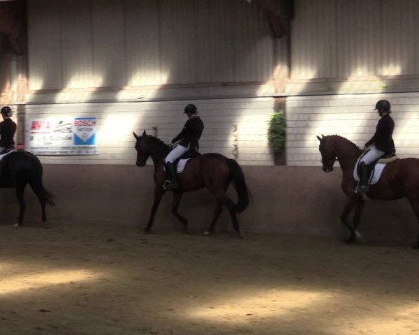 Reitturnier Dortmund-Somborn 2023