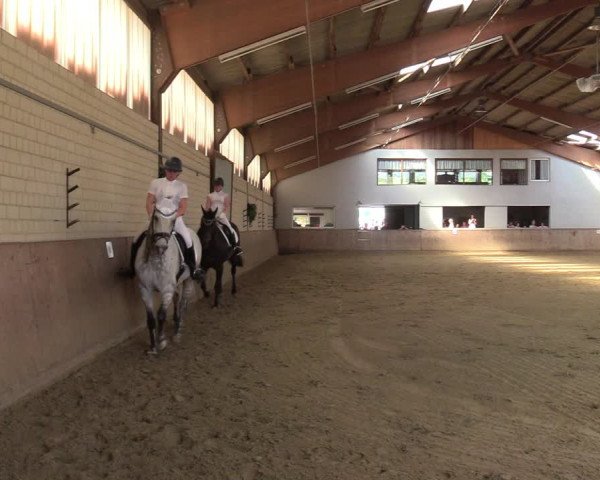 Reitturnier Dortmund-Somborn 2023