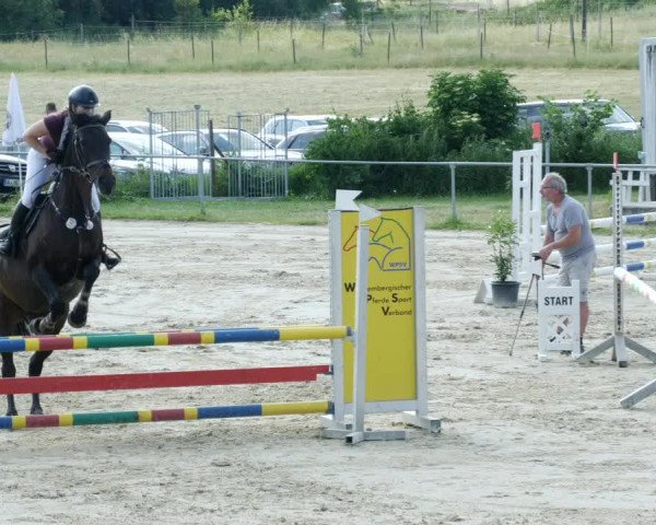 Reitturnier Blaubeuren 2023