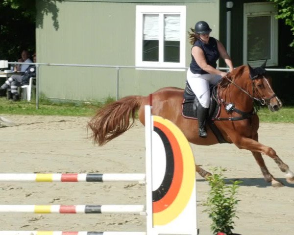 Reitturnier Blaubeuren 2023