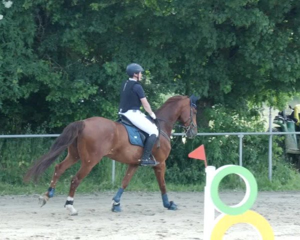 Reitturnier Blaubeuren 2023