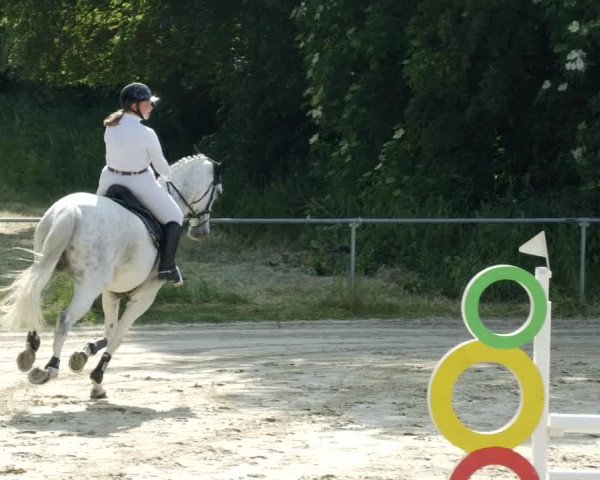 Reitturnier Blaubeuren 2023