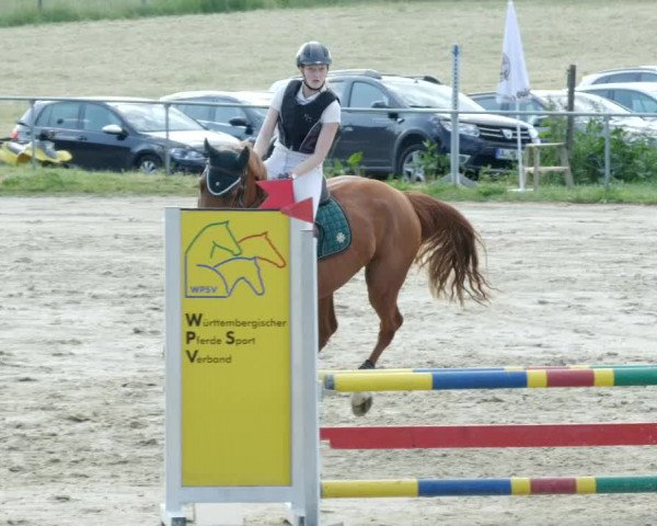 Reitturnier Blaubeuren 2023