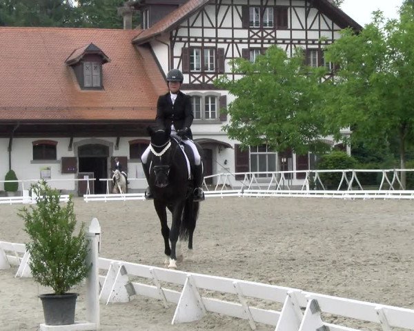 Reitturnier Avenches 2023