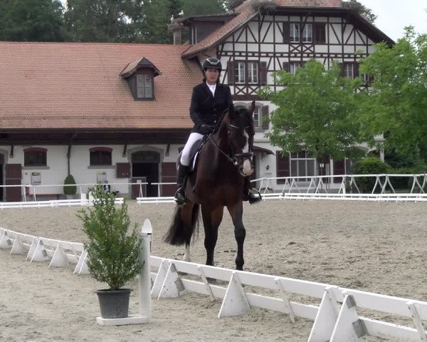 Reitturnier Avenches 2023