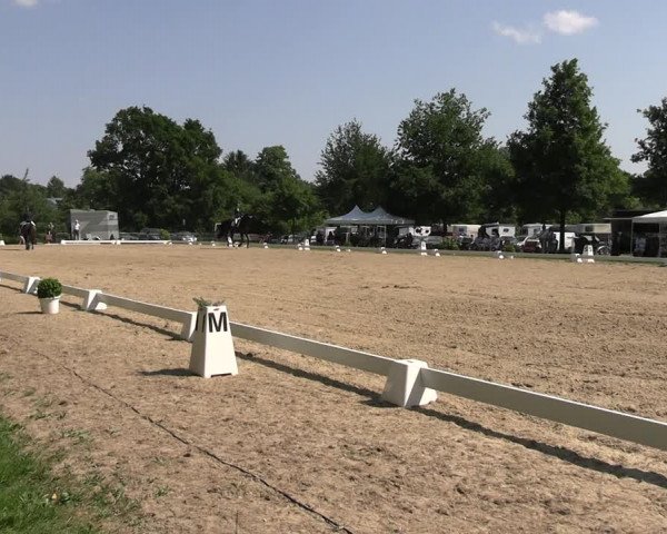 Reitturnier Derbypark Hamburg Klein-Flottbek 2023