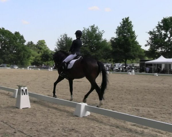 Reitturnier Derbypark Hamburg Klein-Flottbek 2023