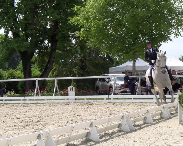 Reitturnier Avenches 2023