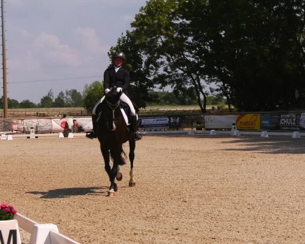 Reitturnier Ruhlsdorf 2023
