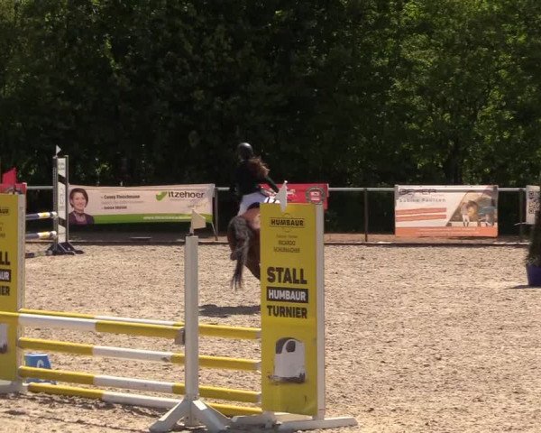 Reitturnier Großenwiehe 2023