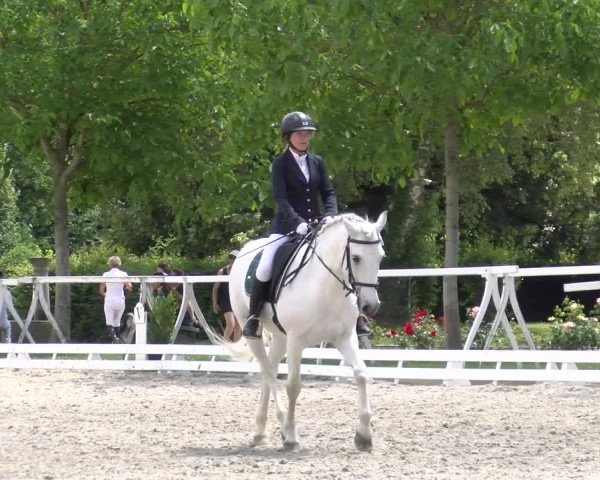 Reitturnier Avenches 2023