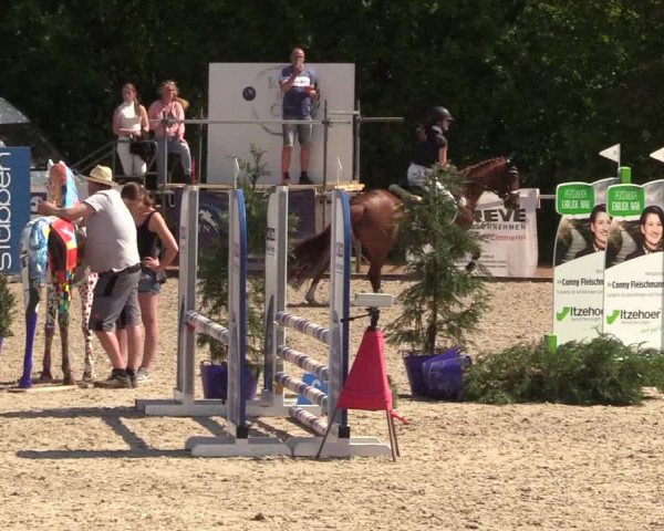 Reitturnier Großenwiehe 2023