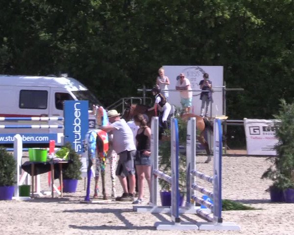 Reitturnier Großenwiehe 2023