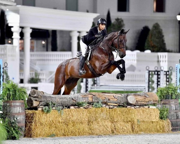 jumper Diador Von Der Heide (Oldenburg, 2009, from Diarado)