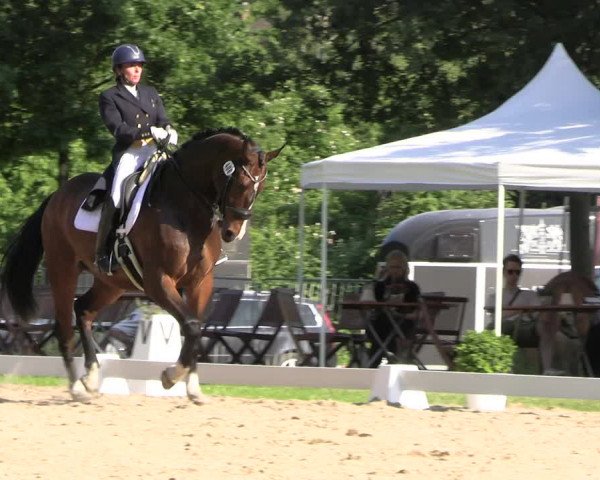 Reitturnier Derbypark Hamburg Klein-Flottbek 2023