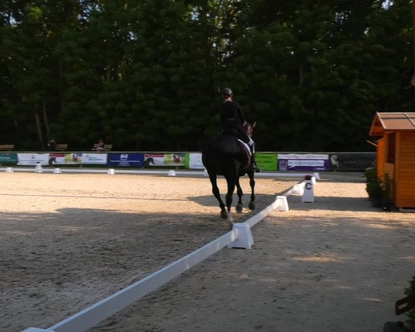 Reitturnier Ruhlsdorf 2023